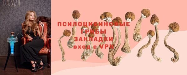 амф Аркадак