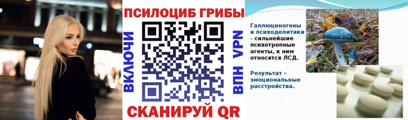 Псилоцибиновые грибы Psilocybe  где купить наркотик  Пугачёв 